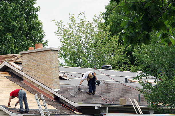 Best Storm Damage Roof Repair  in Mshall, AR